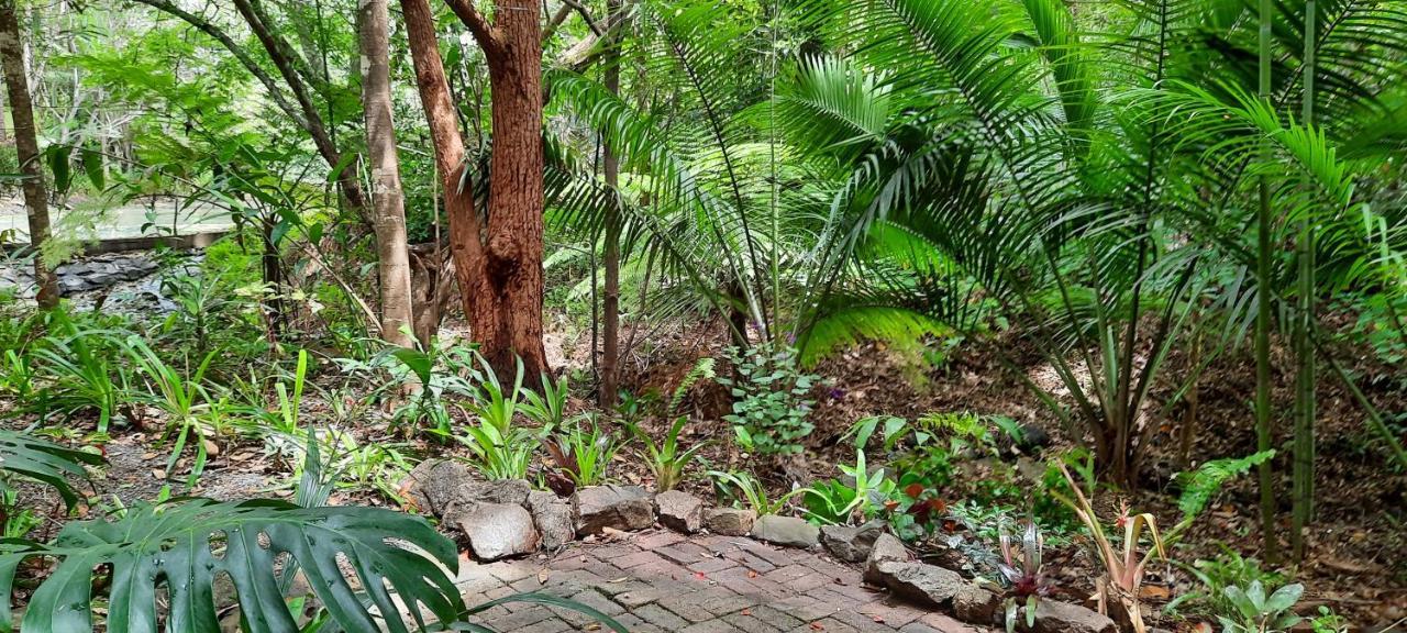 Treetops Montville Bagian luar foto