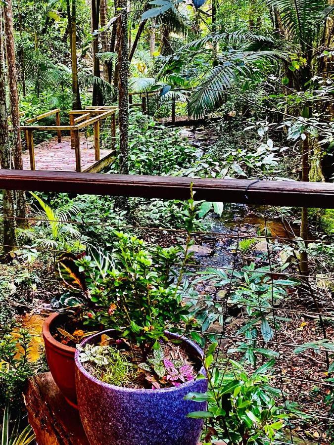 Treetops Montville Bagian luar foto