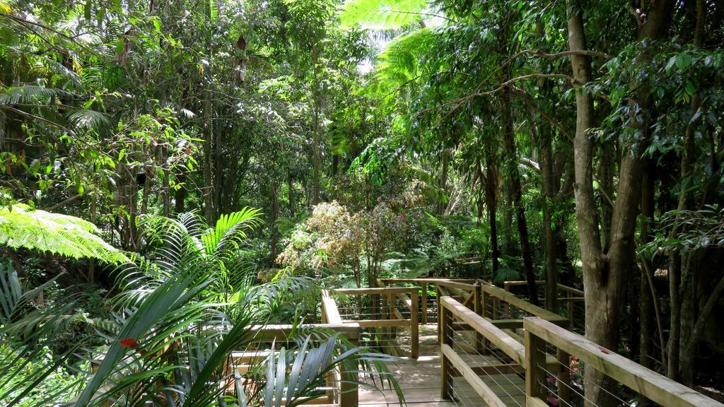 Treetops Montville Bagian luar foto