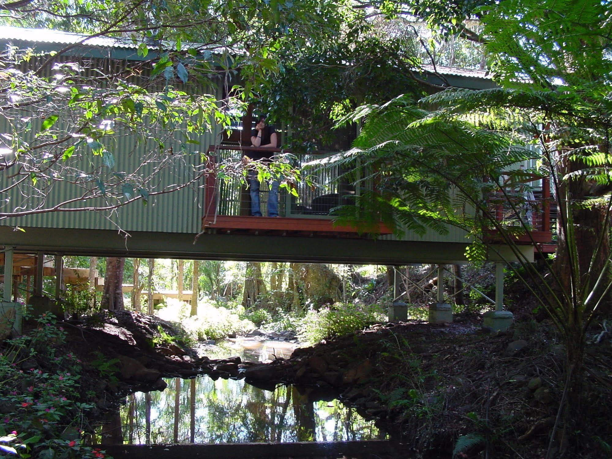 Treetops Montville Bagian luar foto