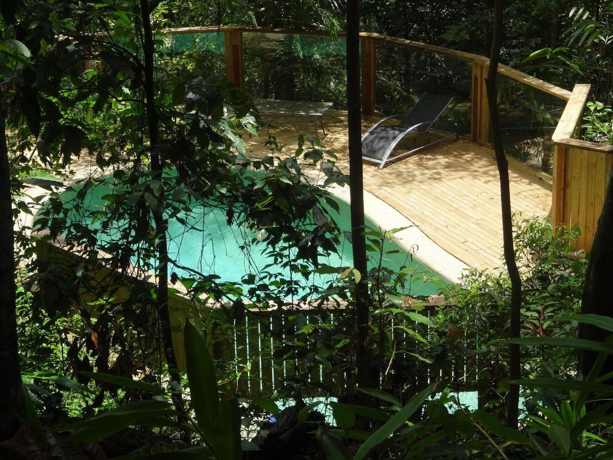 Treetops Montville Bagian luar foto