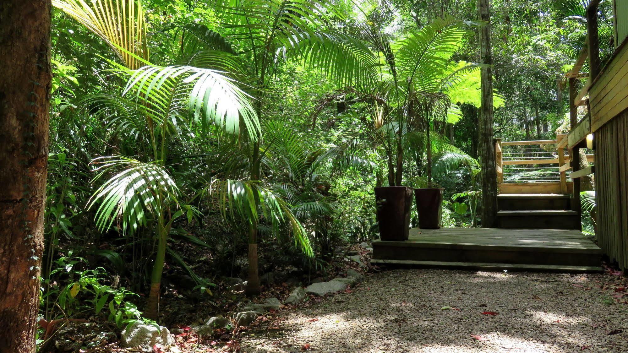 Treetops Montville Bagian luar foto