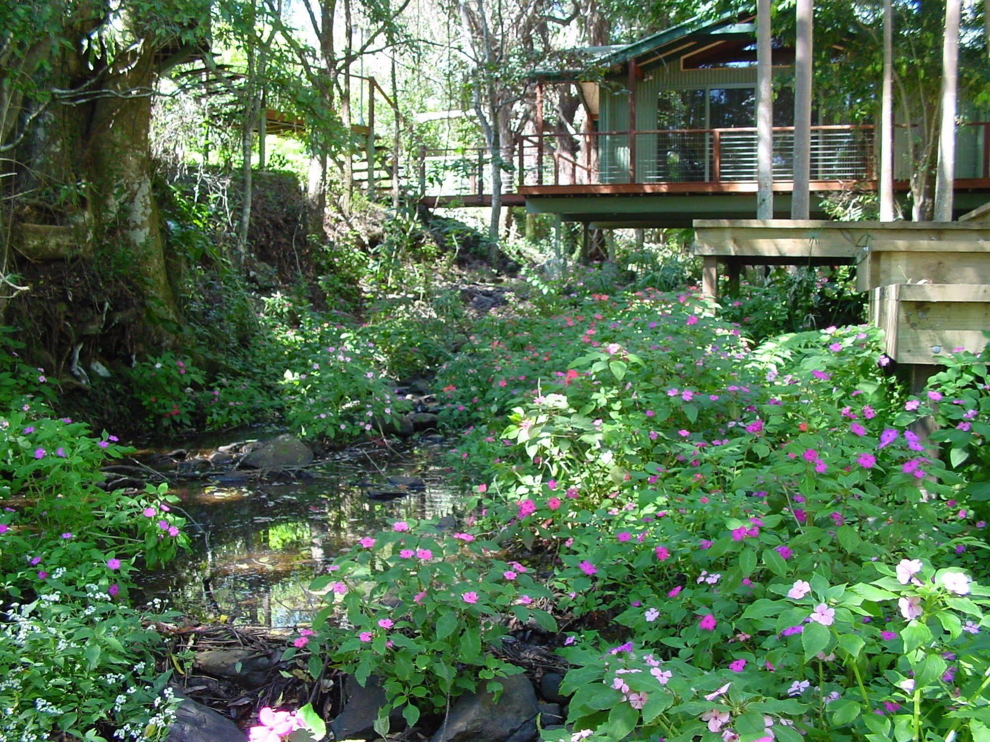 Treetops Montville Bagian luar foto