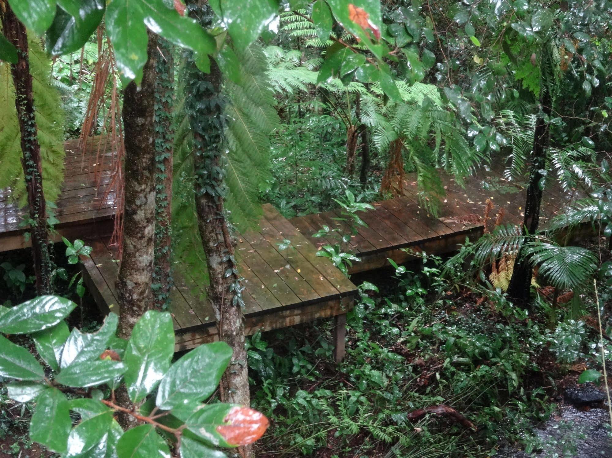 Treetops Montville Bagian luar foto