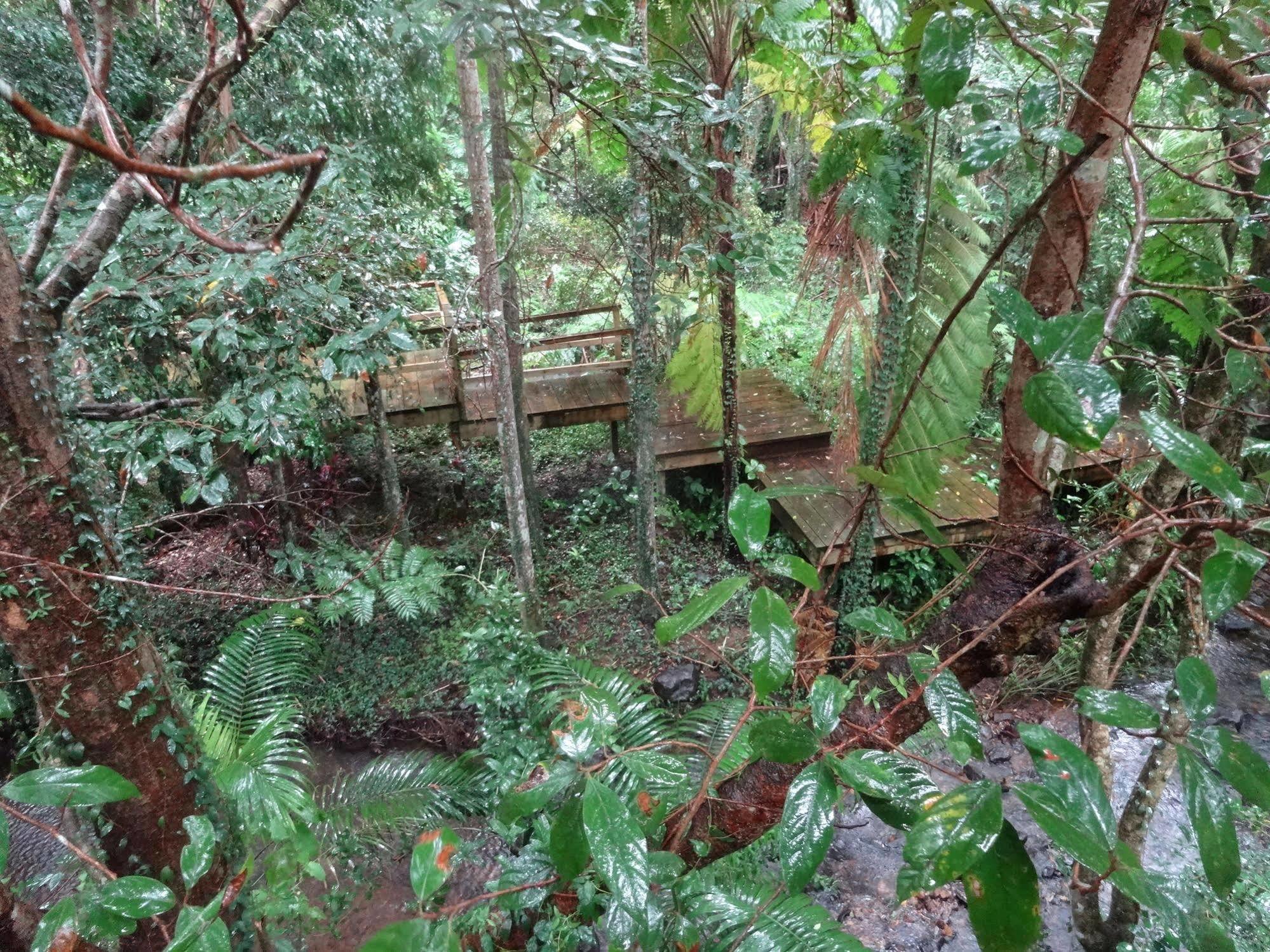 Treetops Montville Bagian luar foto