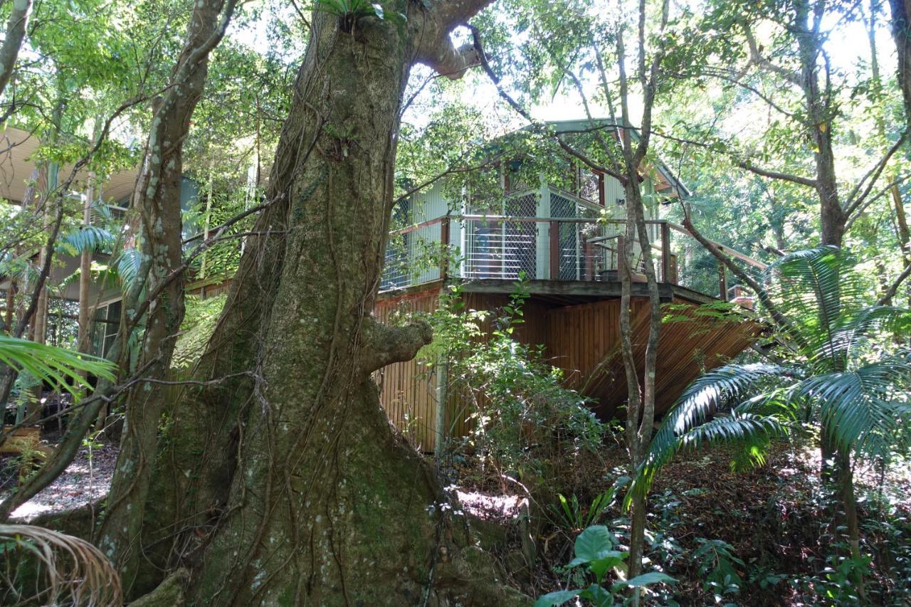 Treetops Montville Bagian luar foto