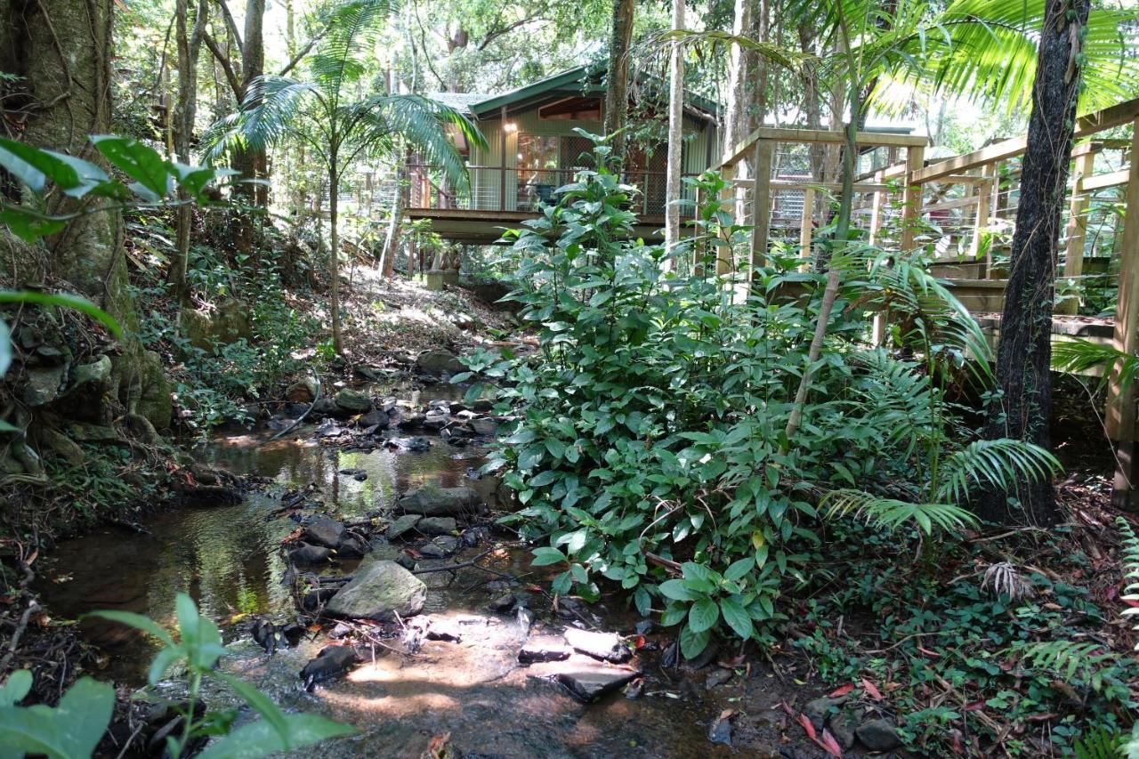 Treetops Montville Bagian luar foto